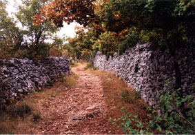 chemin à Marcilhac sur Célé