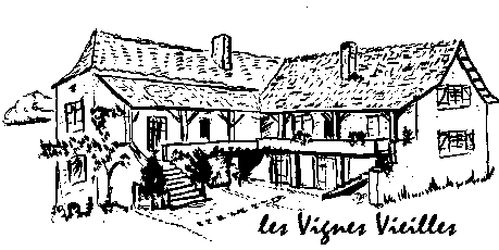 vignes vielles0