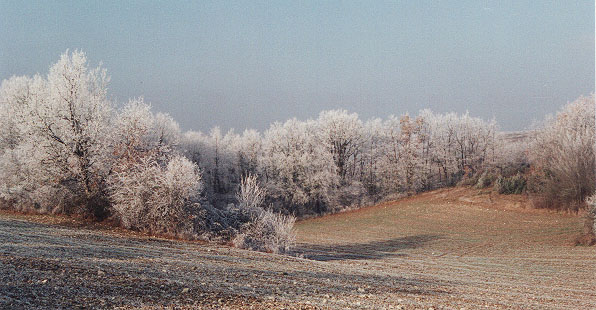 plateau de Saux sous le givre